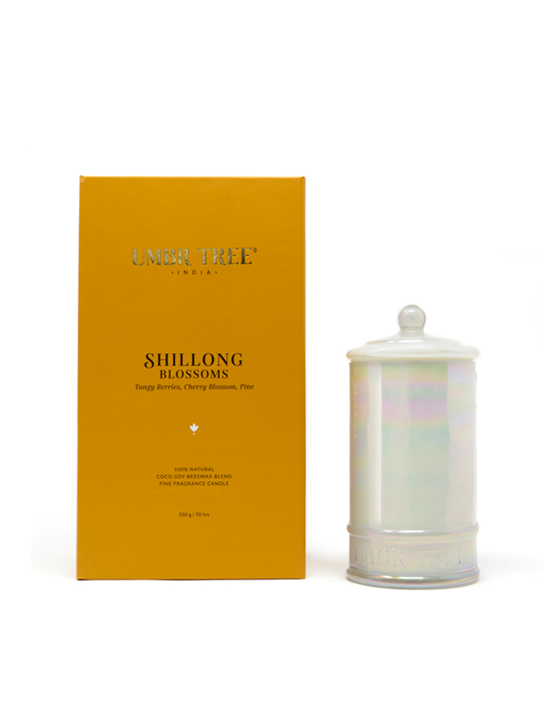 Shillong Blossoms Fine Fragrance Candle, Natural Air Purifier, Toxin Free,  350g, 70hrs