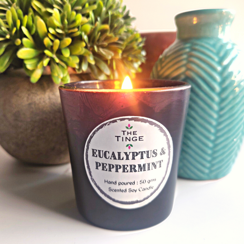 Natural Soy Wax Eucalyptus Peppermint Scented Shot Glass Candle 